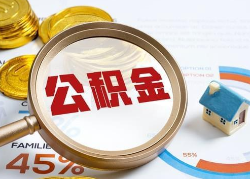 文山2025年政策调整对个人影响综合解析